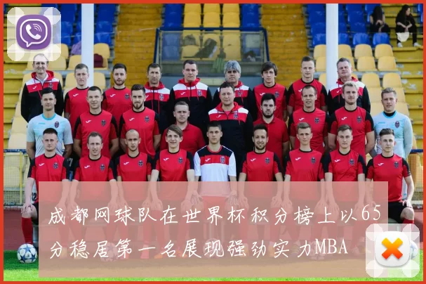 成都网球队在世界杯积分榜上以65分稳居第一名展现强劲实力MBA