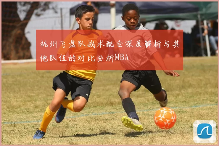 杭州飞盘队战术配合深度解析与其他队伍的对比分析MBA