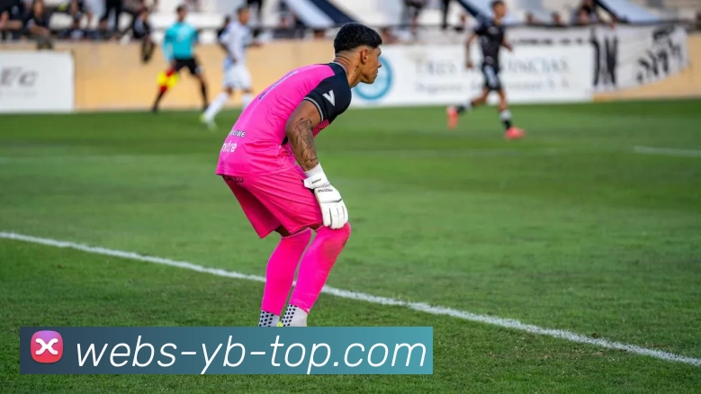 友博体育官网发展历程