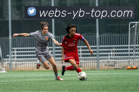 友博体育官网服务体系